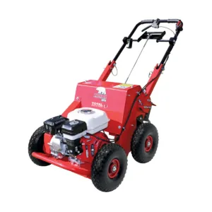 Lawn Aerator (CAMON LA25)